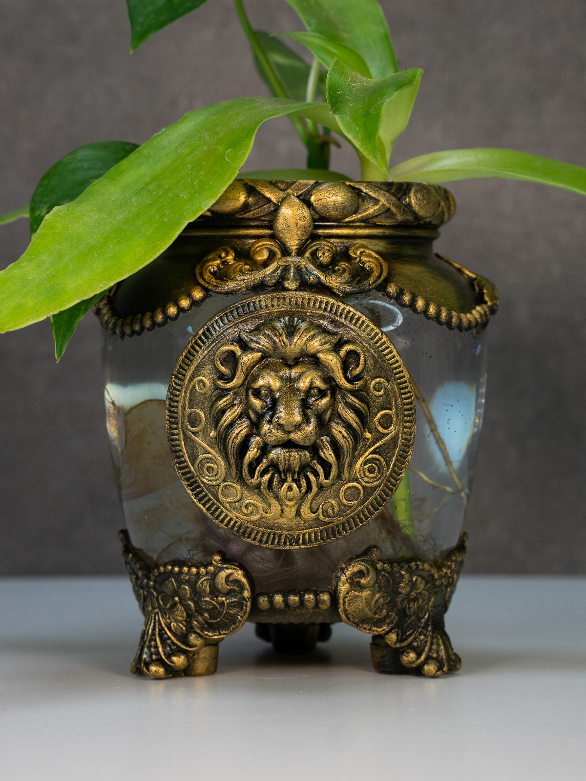 אגרטל במזל - אריה – תמונה 4