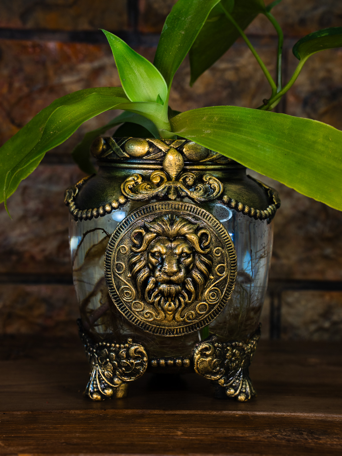 אגרטל במזל - אריה