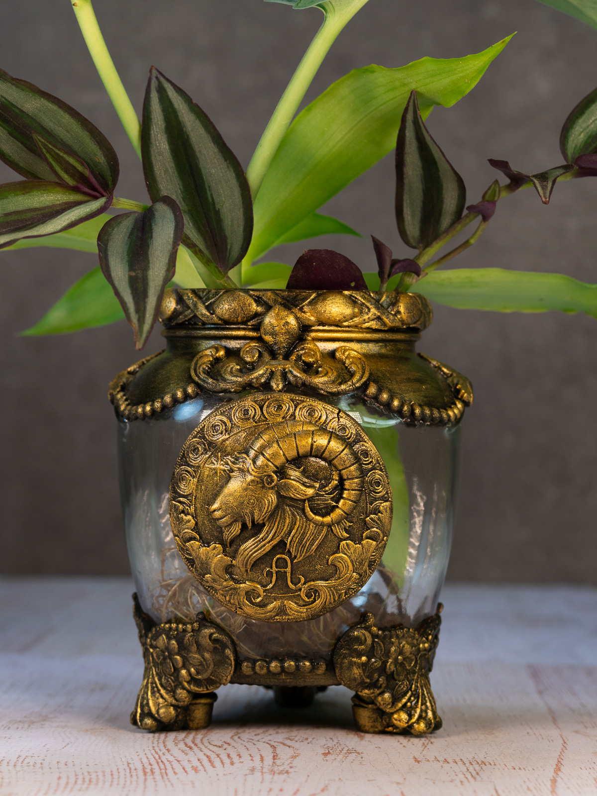 צמחמד-מזל_גדי_זודיאק_אגרטל-3