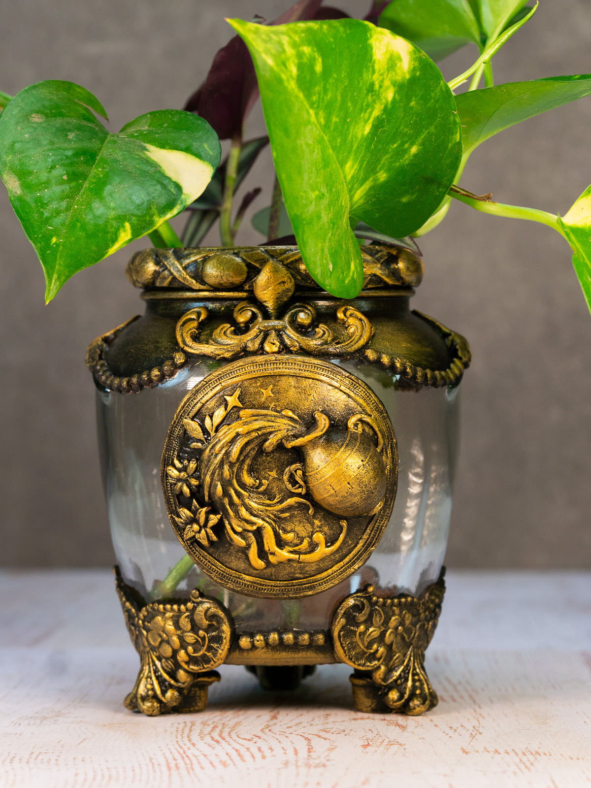 צמחמד-מזל_דלי_זודיאק_אגרטל-3