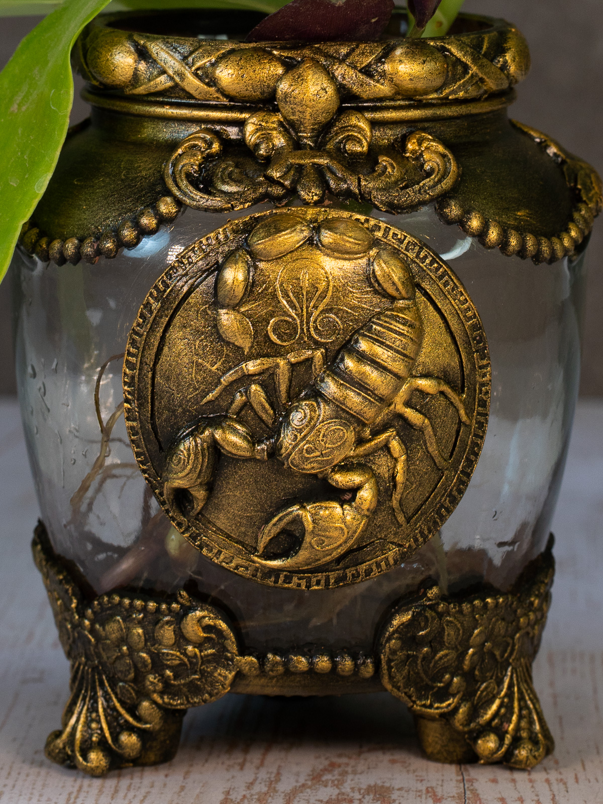 צמחמד-מזל_עקרב_זודיאק_אגרטל-4