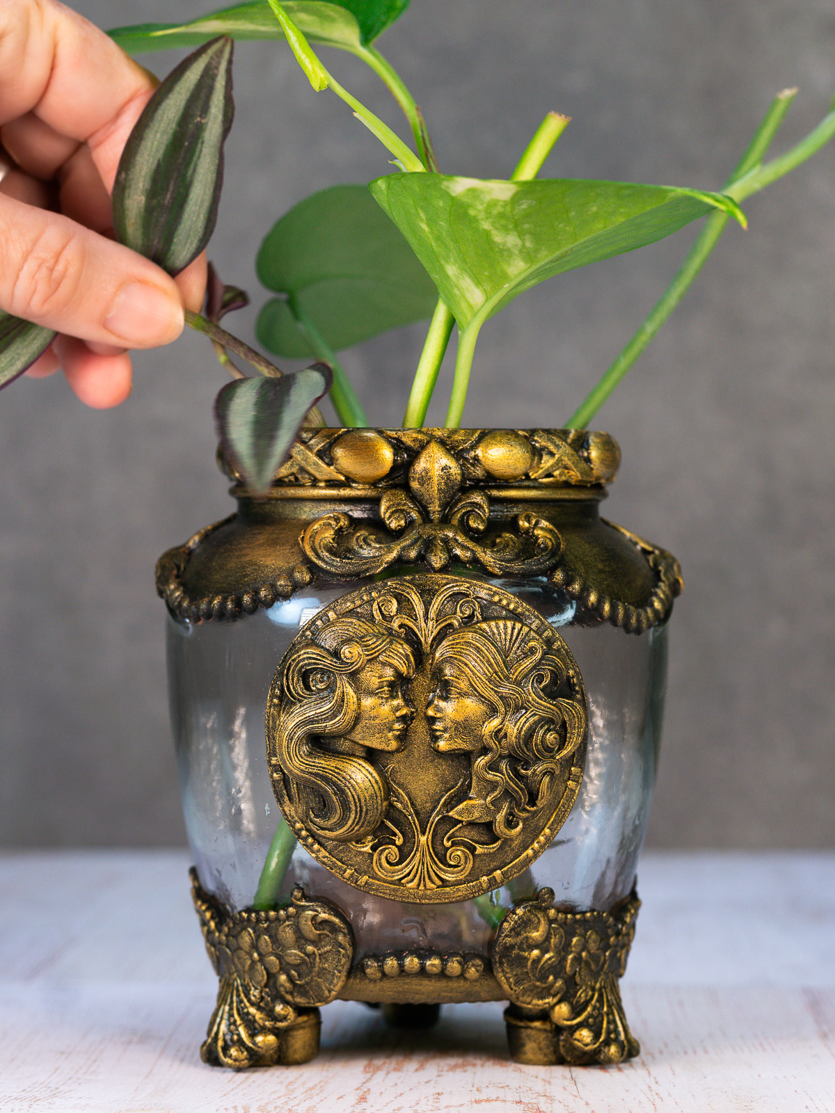 צמחמד-מזל_תאומים_זודיאק_אגרטל-1